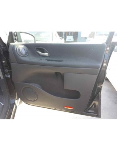 GUARNECIDO PUERTA DELANTERA DERECHA RENAULT ESPACE IV (JK0) - 165239