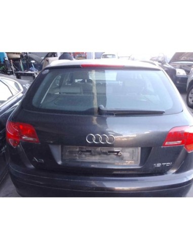 PORTON TRASERO AUDI A3 (8P1) - 220352