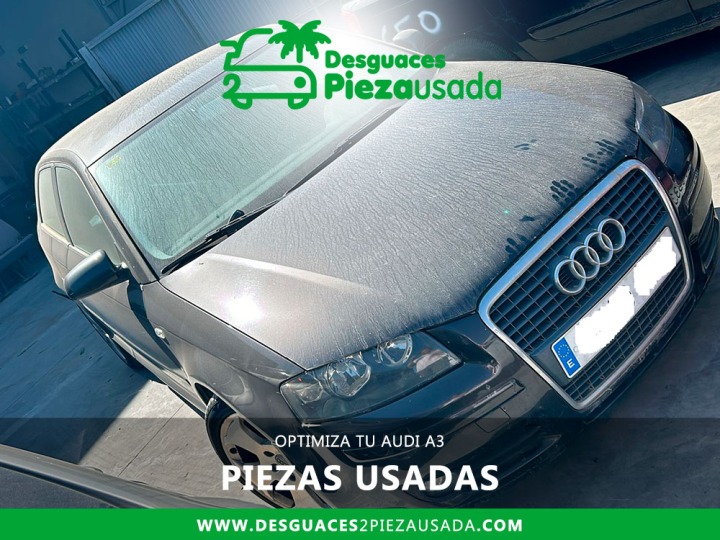 OPTIMIZA TU AUDI