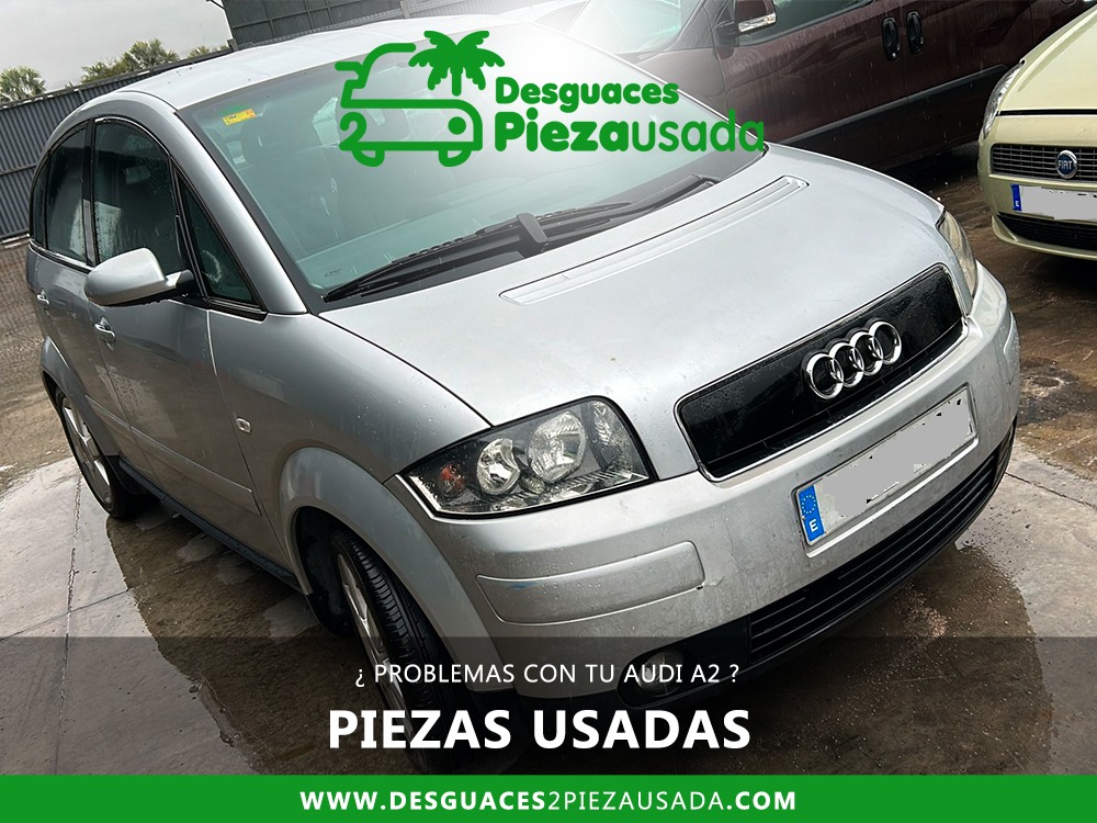 ¿PROBLEMAS CON TU AUDI A2?